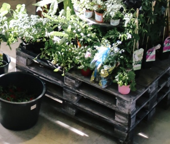 Texto sobre foto de tienda
