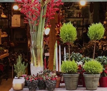 Texto sobre foto de tienda