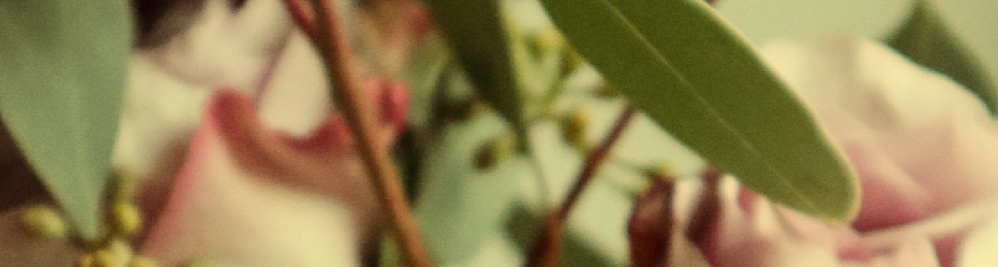 Servicios de floristería