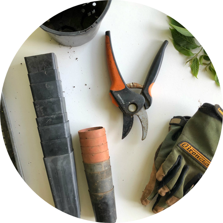 Cursos de jardinería